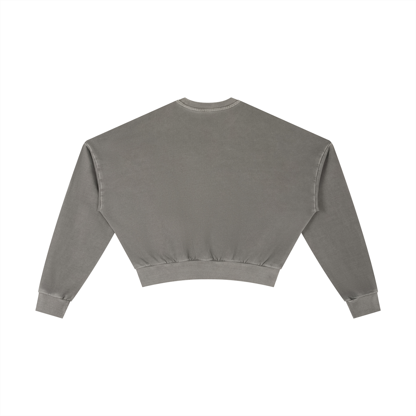 Creative Zoo Crop Crew Sweatshirt