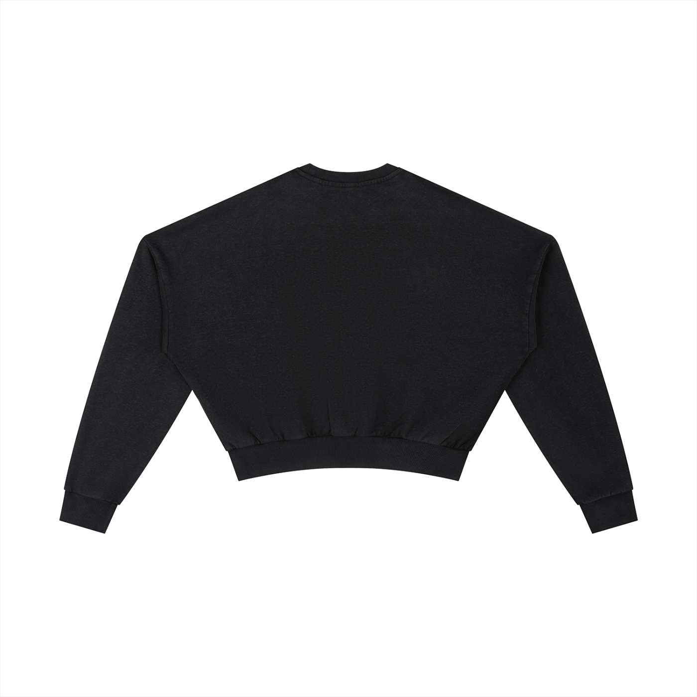 Creative Zoo Crop Crew Sweatshirt